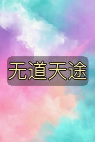 无道天途封面