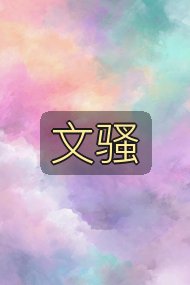 文骚封面