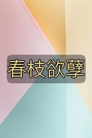 春枝欲孽封面