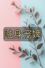 贴身宠婢封面