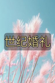 世纪婚礼封面