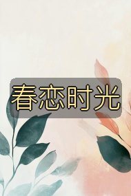 春恋时光封面